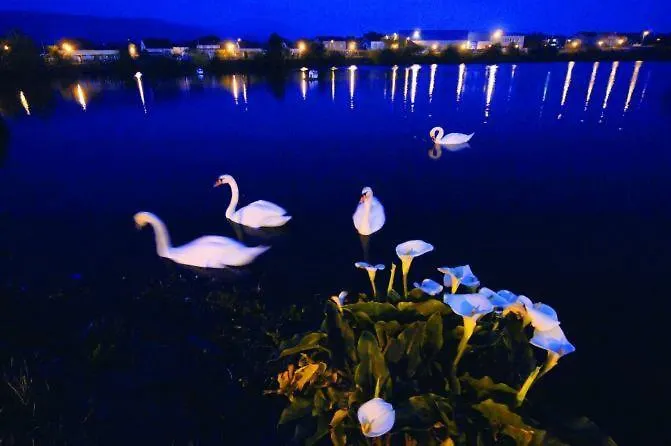 Acogedora Casa Al Lado De Vut-co-02999 * 帕德隆